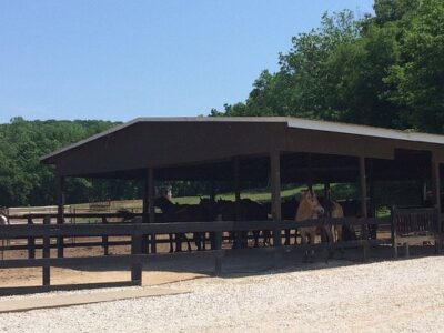 Pere Marquette Riding Stables