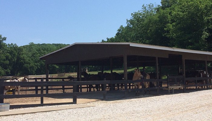 Pere Marquette Riding Stables