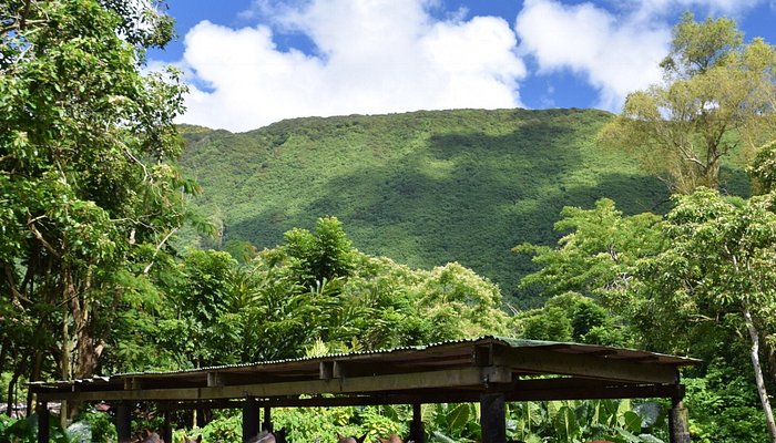 Na'alapa Stables - Waipio Valley