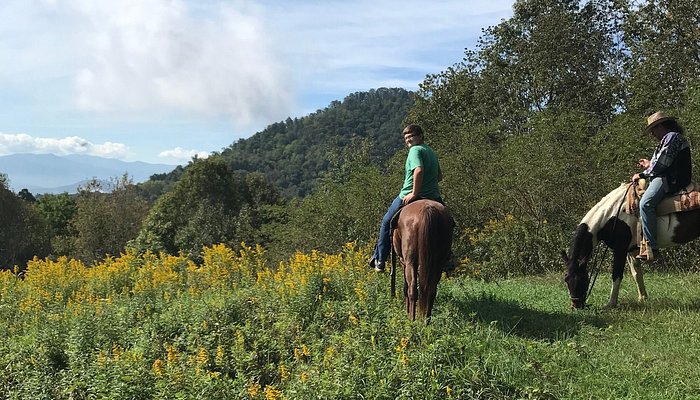 Panther Creek Horseback Rides