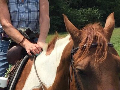 Creekside Riding Academy & Stables