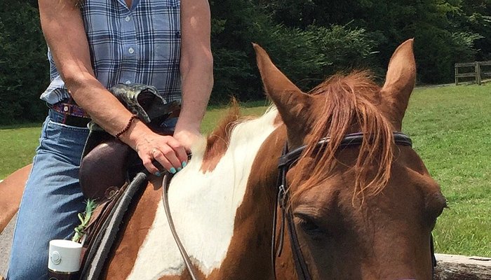 Creekside Riding Academy & Stables