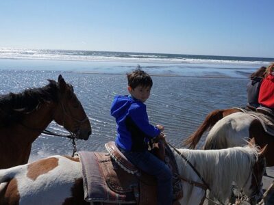Back Country Horse Rides