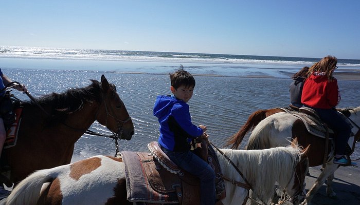Back Country Horse Rides