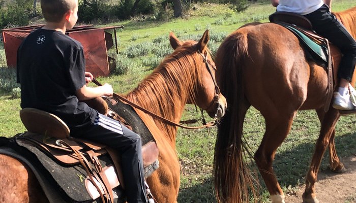 Travis P Trail Rides
