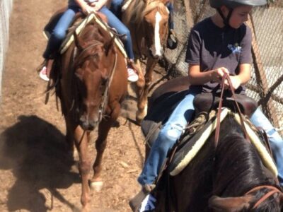 LA Horse Rentals