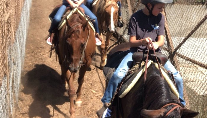 LA Horse Rentals