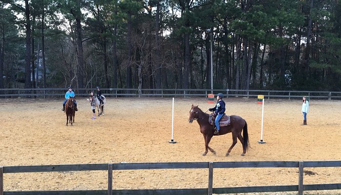 Vaughan Girls Stables