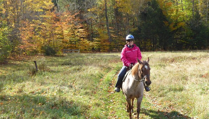 Topnotch Stables