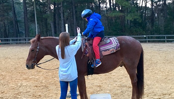 Vaughan Girls Stables