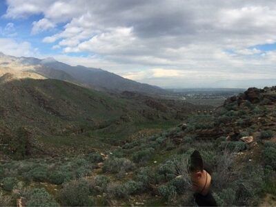 Smoke Tree Stables