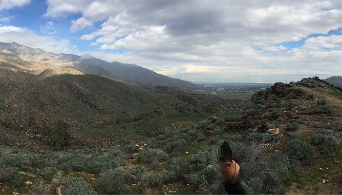 Smoke Tree Stables