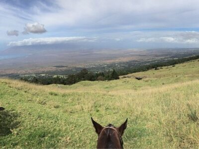 Thompson Ranch Riding Stables