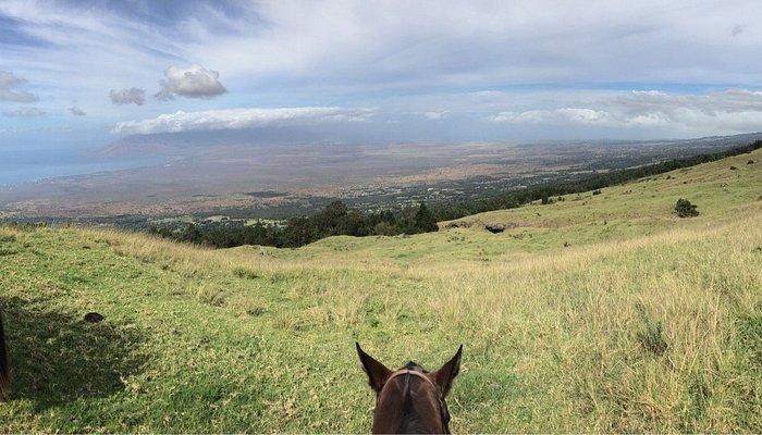 Thompson Ranch Riding Stables