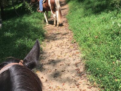 Bregman's Trail Riding and Stables