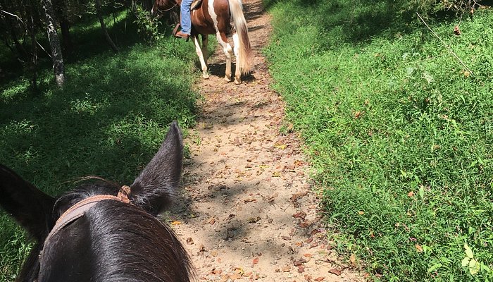 Bregman's Trail Riding and Stables