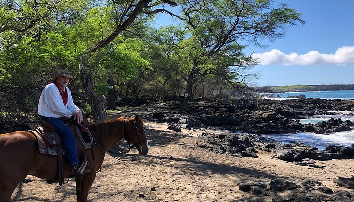 Makena Stables