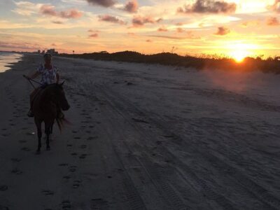 Inlet Point Plantation Stables