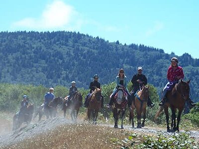Redwood Trails Horse Rides
