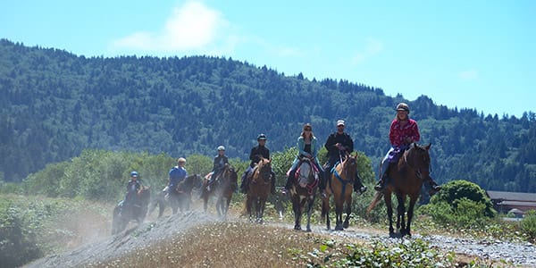 Redwood Trails Horse Rides