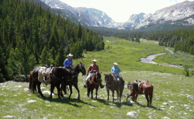Southfork Mt. Lodge, Wyoming's Bighorn National Forest