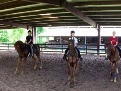 Pine Haven Stables & Riding Academy