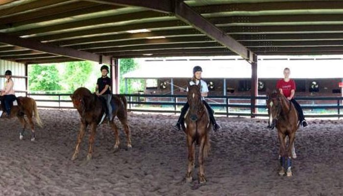 Pine Haven Stables & Riding Academy