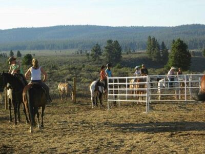 Piping Rock Equestrian Center