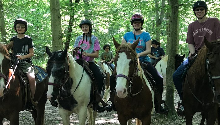 Piscataway Horse Farm