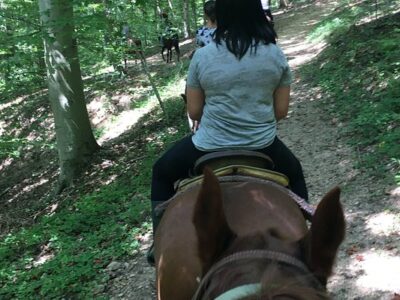 Piscataway Horse Farm