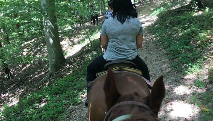 Piscataway Horse Farm