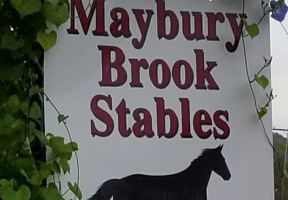 Maybury Brook Stables