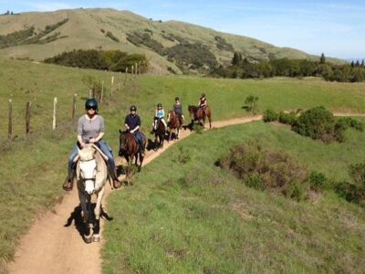 Point Reyes Arabian Adventures