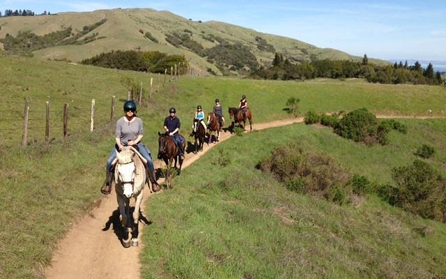 Point Reyes Arabian Adventures