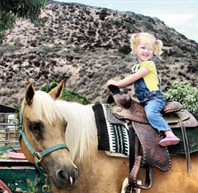 Pony Land Rides And Petting Zoo