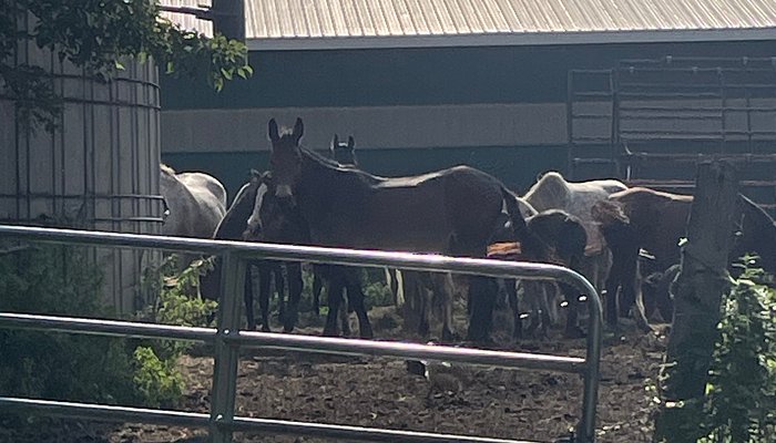 Breakaway Farm