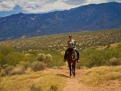 Pusch Ridge Stables