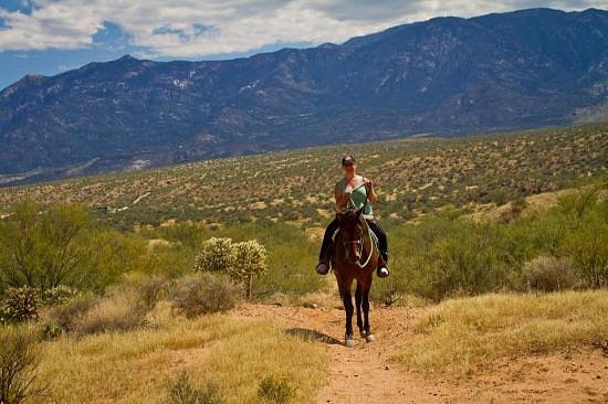 Pusch Ridge Stables