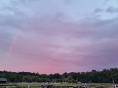 Sheeder Mill Farm