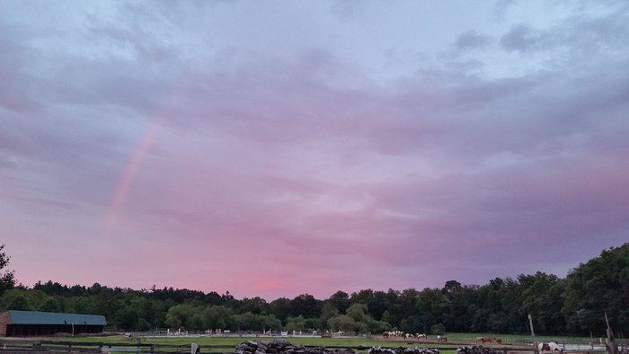Sheeder Mill Farm