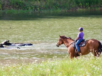 Panther Creek Stables