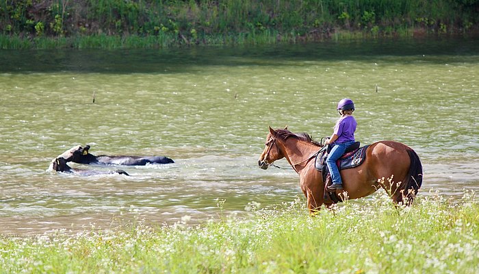 Panther Creek Stables