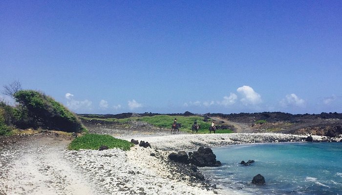 Triple L Ranch Horseback Tours