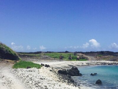 Triple L Ranch Horseback Tours