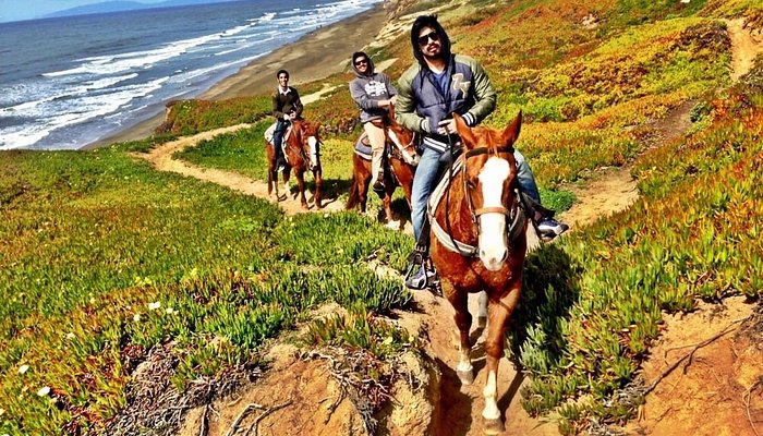 Mar Vista Stables
