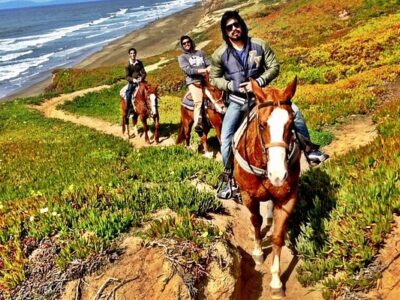 Mar Vista Stables