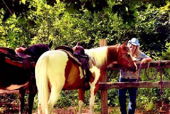 Painted Bar Stables
