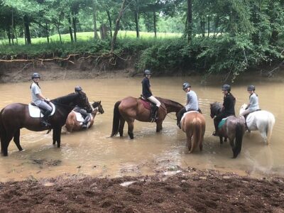 Trish Franks Riding School
