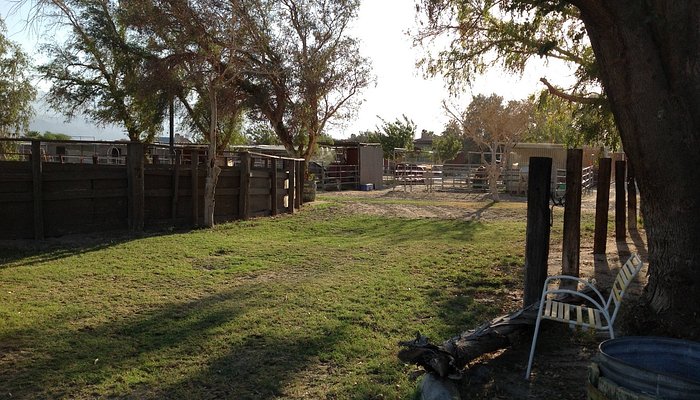 Ivey Ranch Equestrian Center