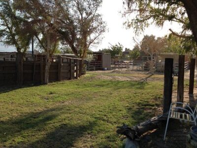 Ivey Ranch Equestrian Center